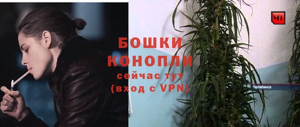 сатива Балабаново
