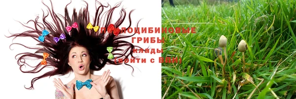 сатива Балабаново