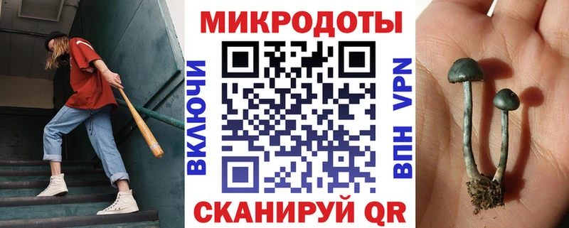Галлюциногенные грибы Psilocybe  mega зеркало  это какой сайт  Ясногорск 